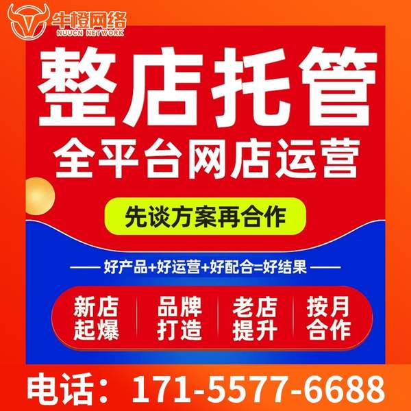 重庆电商代运营